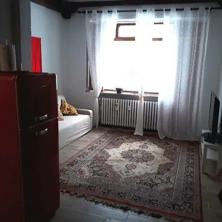 Centro Con Giardino Privato Pragelato